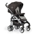 Gesslein Buggy S2
