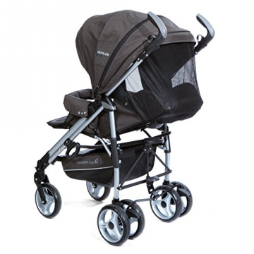 Gesslein Buggy S2 