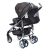 Gesslein Buggy S2 