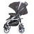Gesslein Buggy S2 