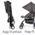 Gesslein Buggy S5 
